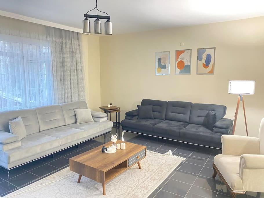 Comfy - Spacious Flat On The Kadikoey Seaside Apartment Istanbul Bagian luar foto